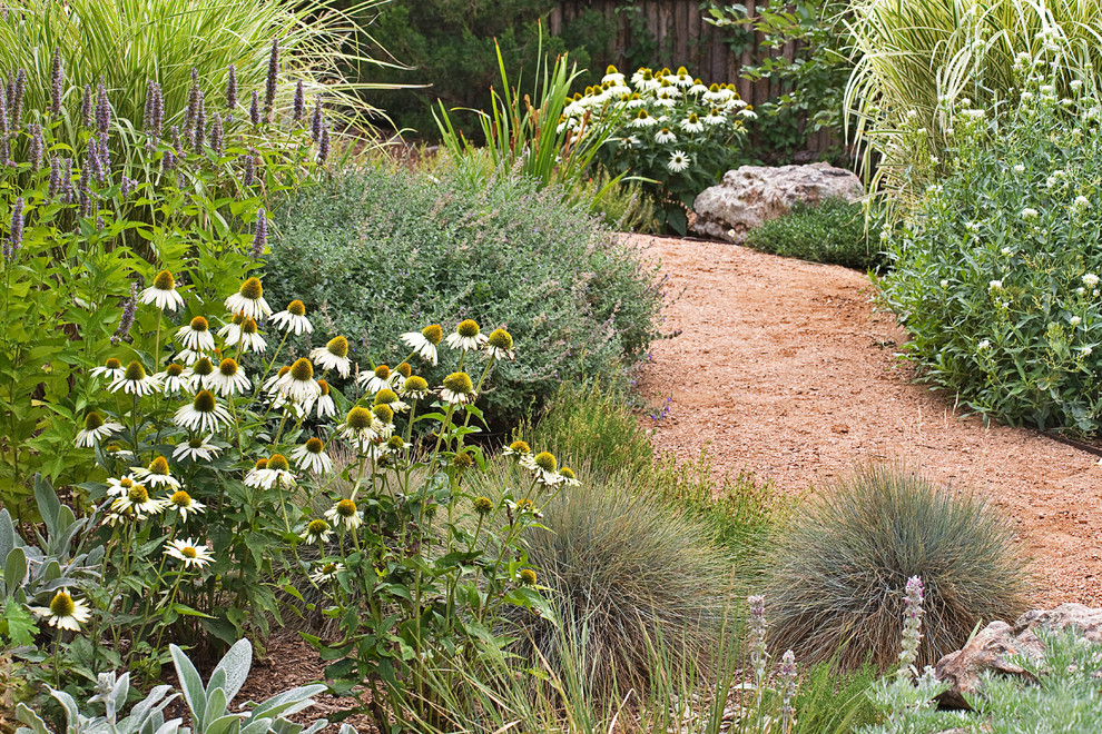 Design ideas for a southwestern landscaping in Albuquerque.