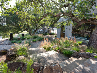 10 Tips for Planting a Beautiful Low-Maintenance Landscape (11 photos)