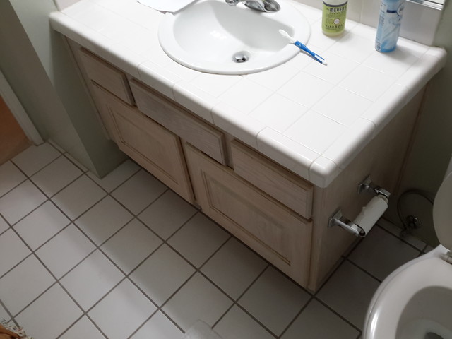 PINGEL PROJECT transitional