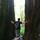 justin_kwan29