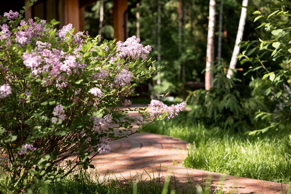 Лесной пейзаж