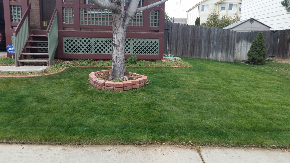 This is an example of a mid-sized traditional front yard partial sun garden for winter in Denver.
