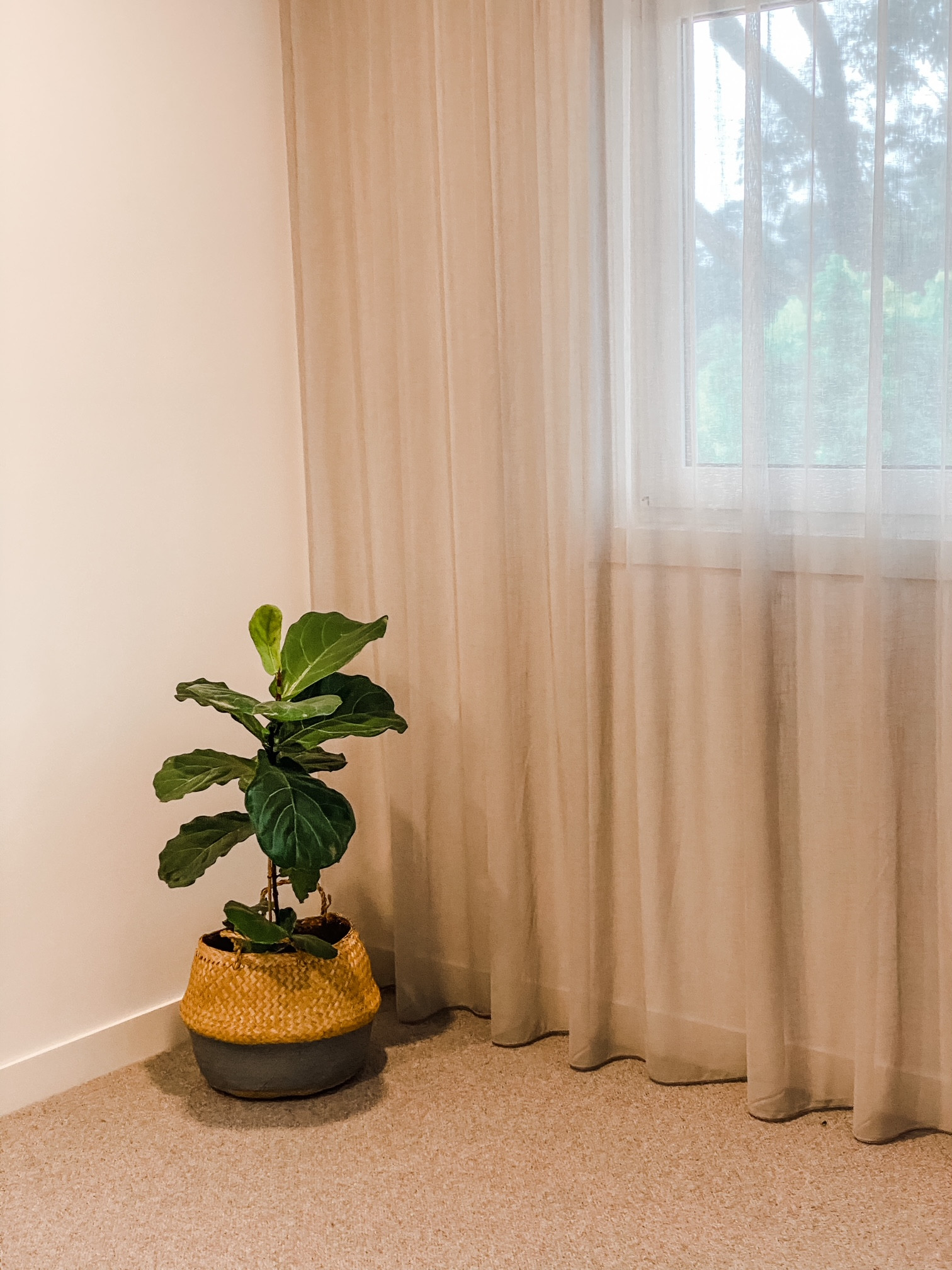 Blackburn North – Hampton-Inspired, Light-Filled & Energy Efficient