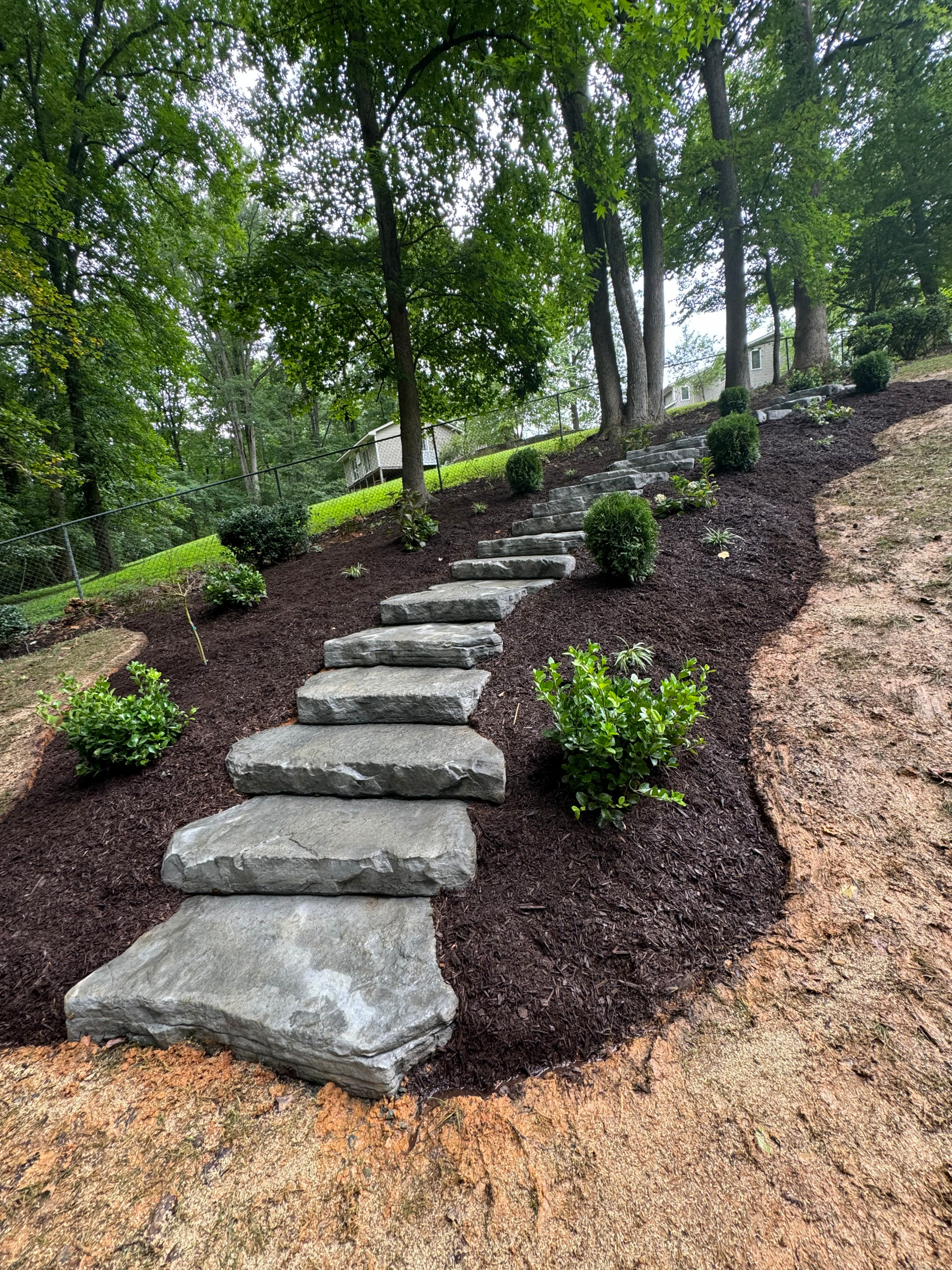 Our Work