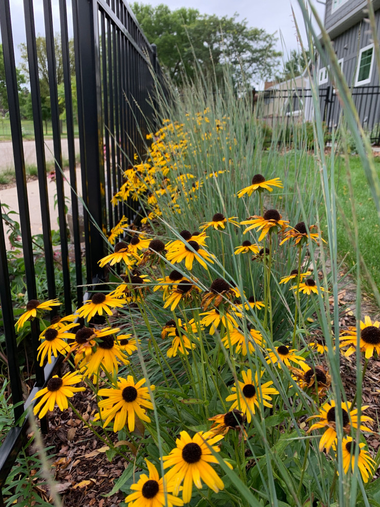 Minneapolis Functional Landscape