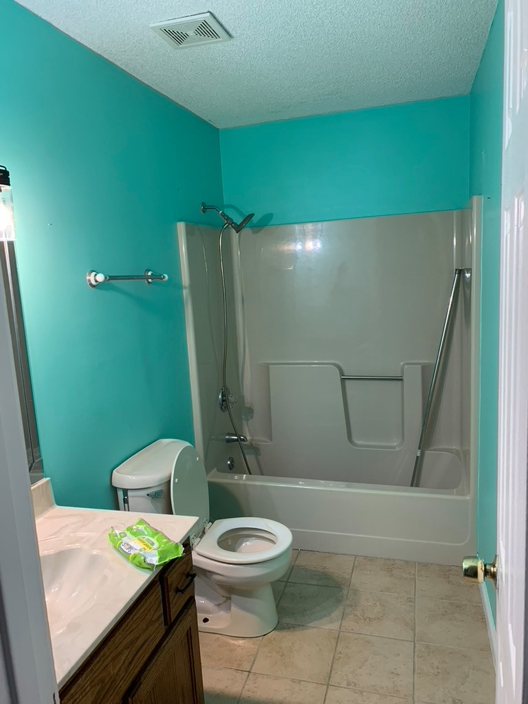 Plainview guest bath