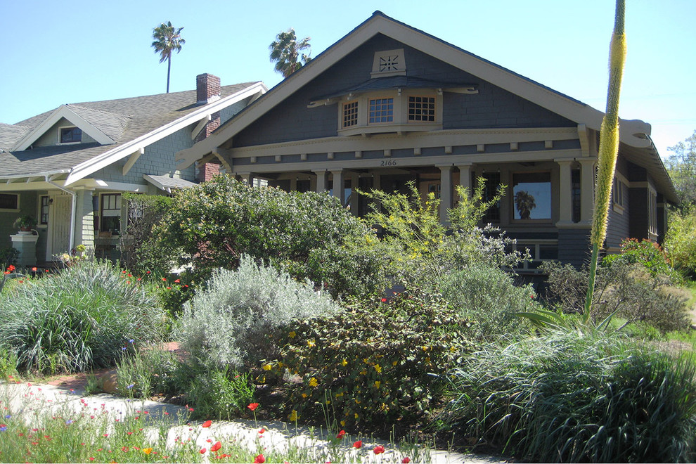 This is an example of an australian native arts and crafts garden in Los Angeles.