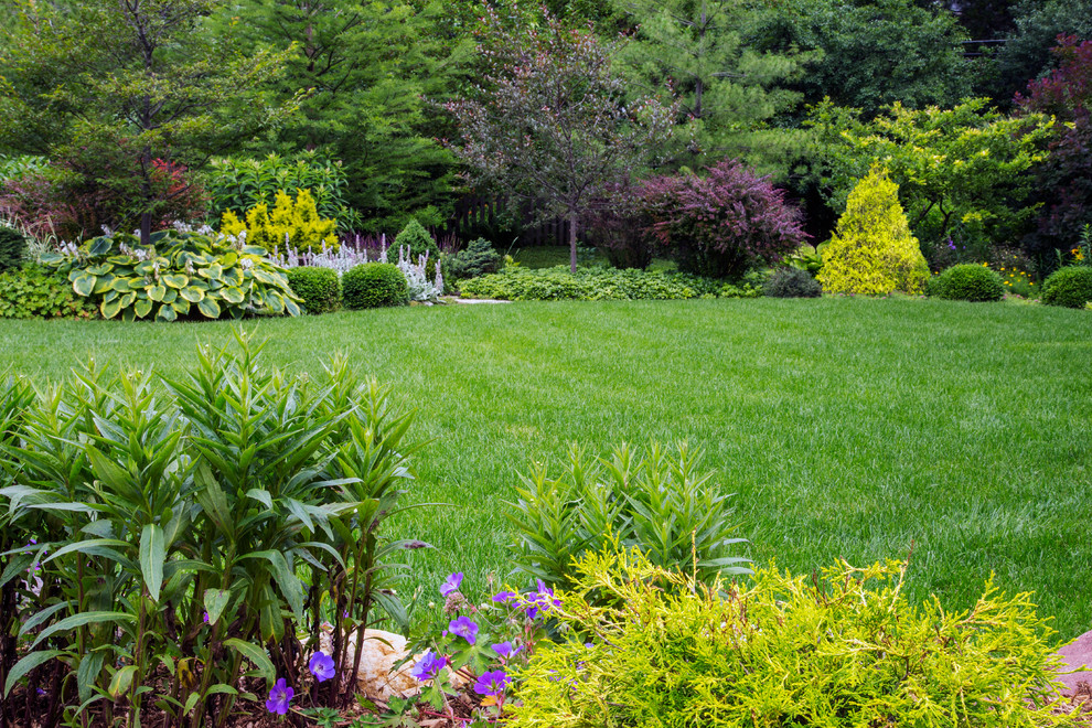 Inspiration for a mid-sized transitional backyard full sun garden for summer in Other with a garden path and mulch.