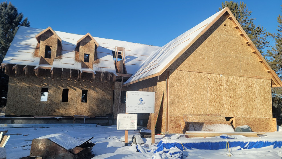 Vision Coming to Life