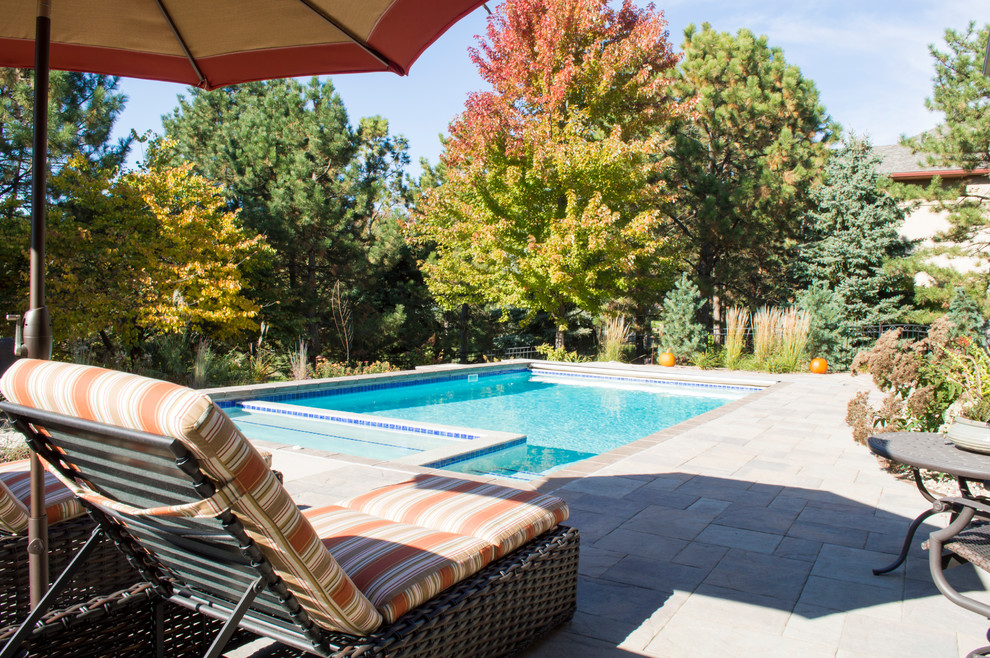 Pool - backyard rectangular pool idea