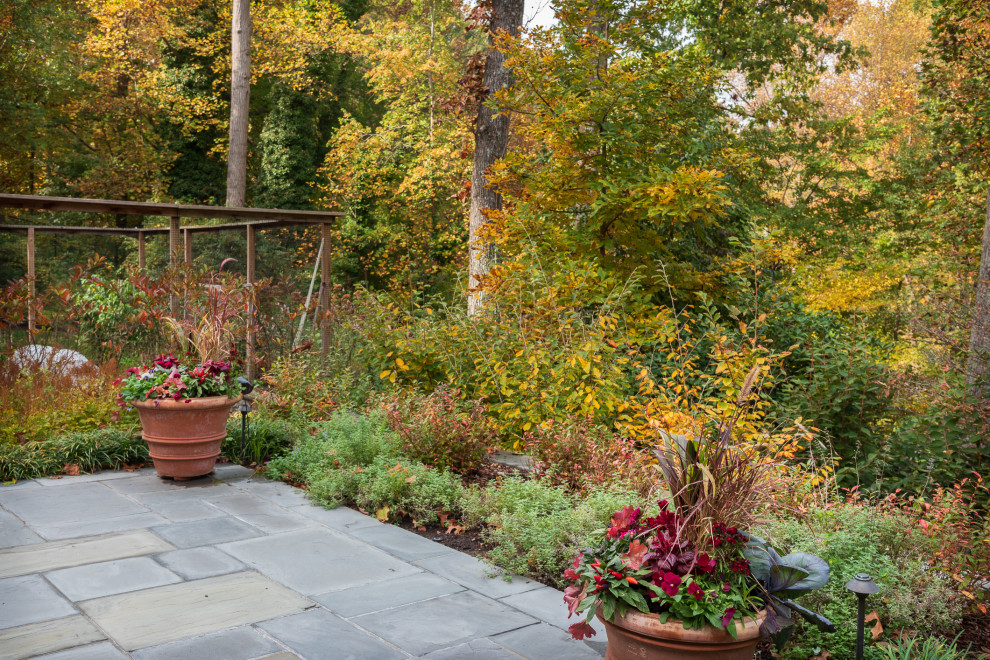 Huge transitional home design photo in DC Metro