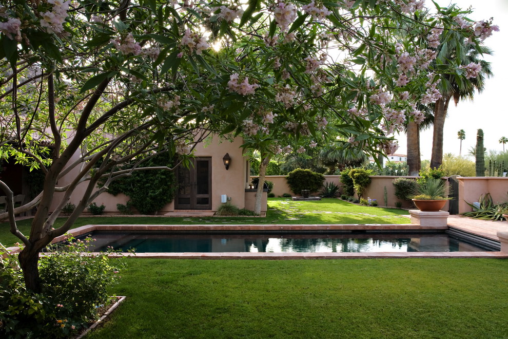 This is an example of a traditional backyard garden in Phoenix.