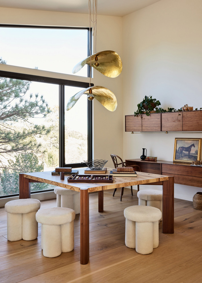 Design ideas for a midcentury home office in Denver.