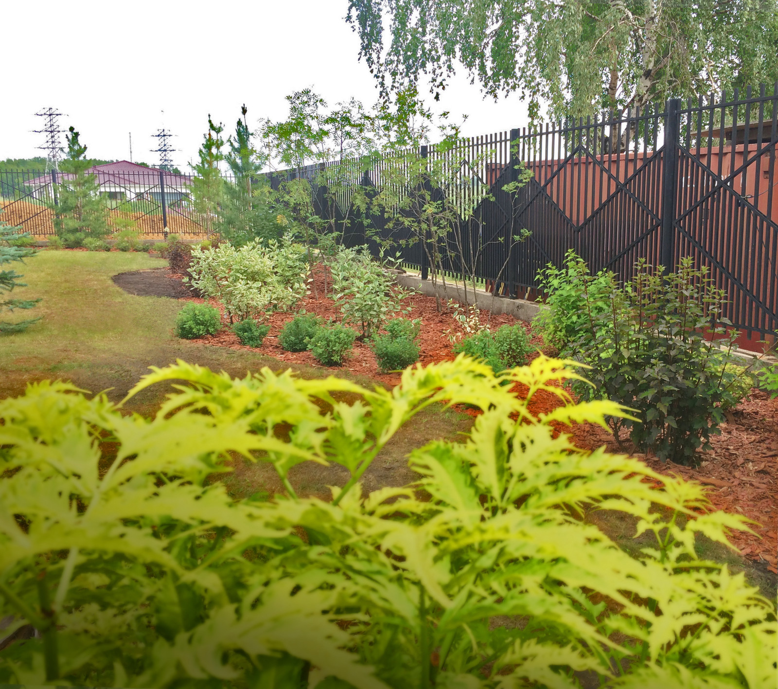Сад с водоемом