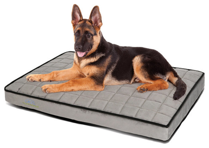 BuddyRest Blissful Orthopedic Pet Bed Dog Bed