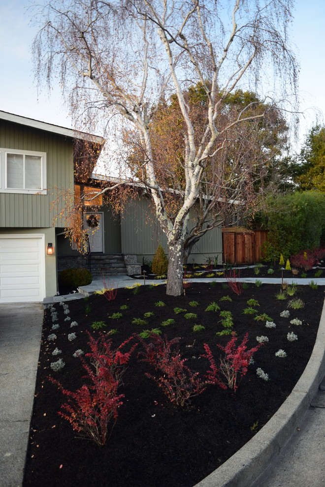 Entry pathway and steps