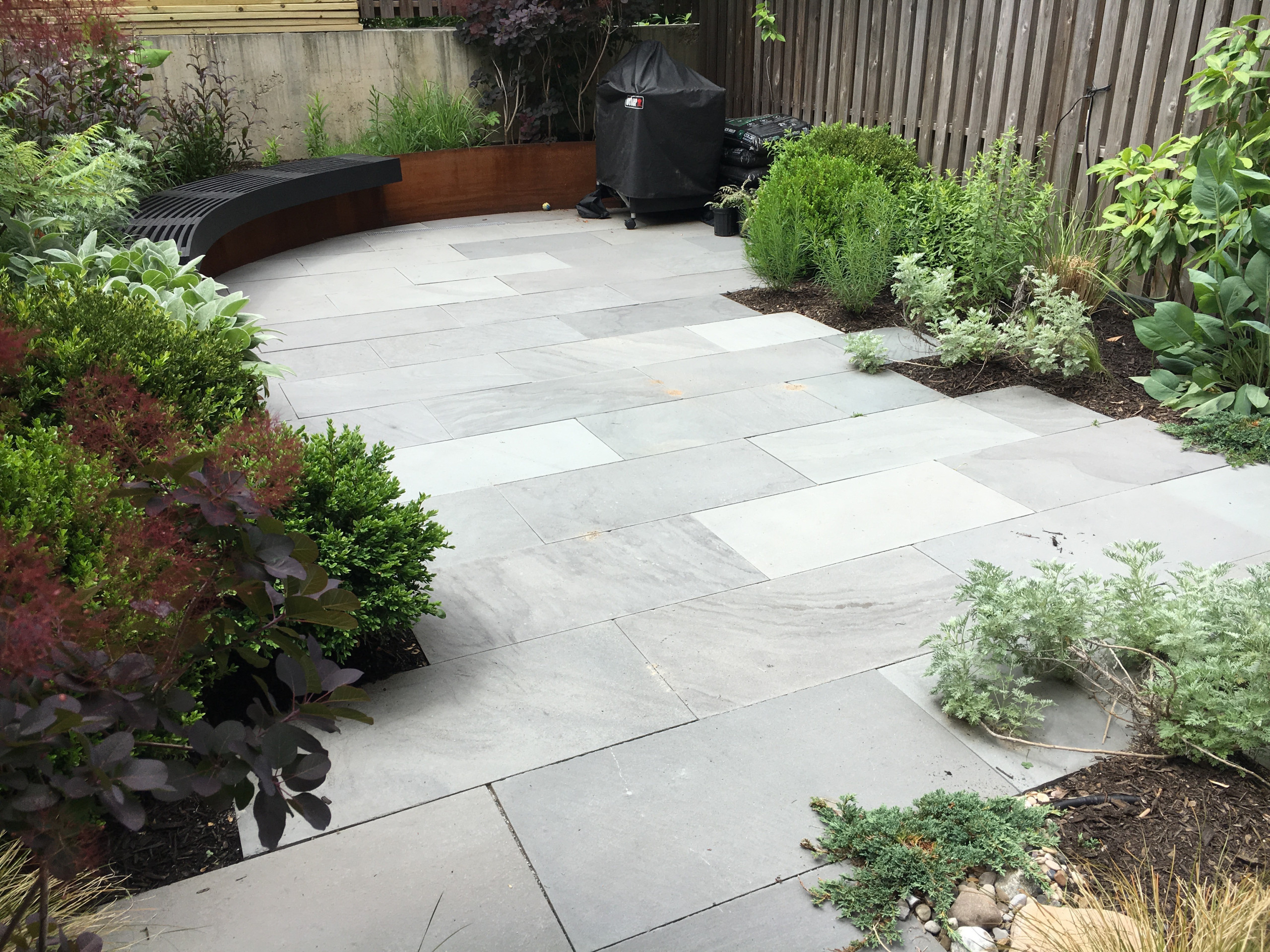 Modern Garden with Curved Corten Border