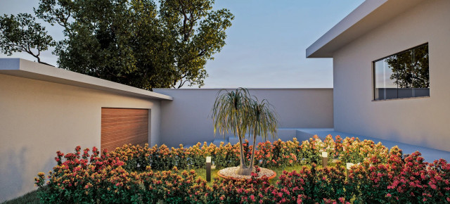Dog Backyard rendering