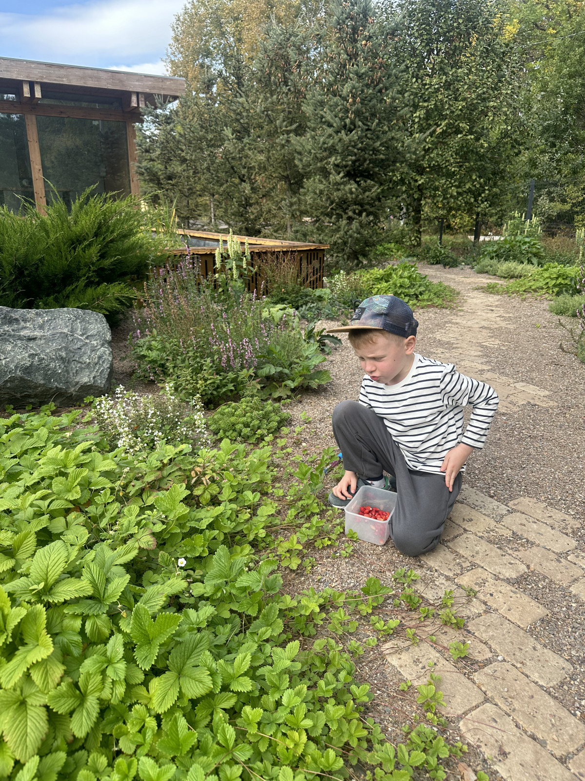 Выставочный сад