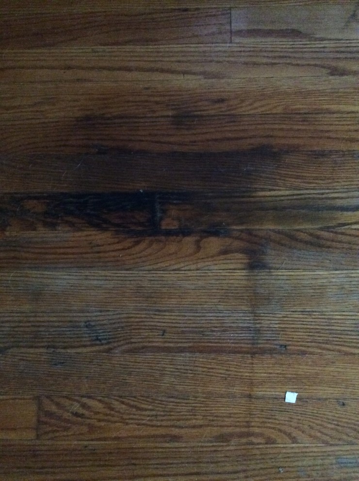 Stained hardwood floor