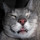 christine_kim2