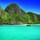 fiona_jardine