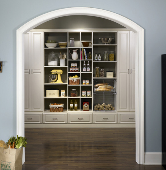 Mid-sized transitional dark wood floor kitchen pantry photo in Chicago with raised-panel cabinets and white cabinets