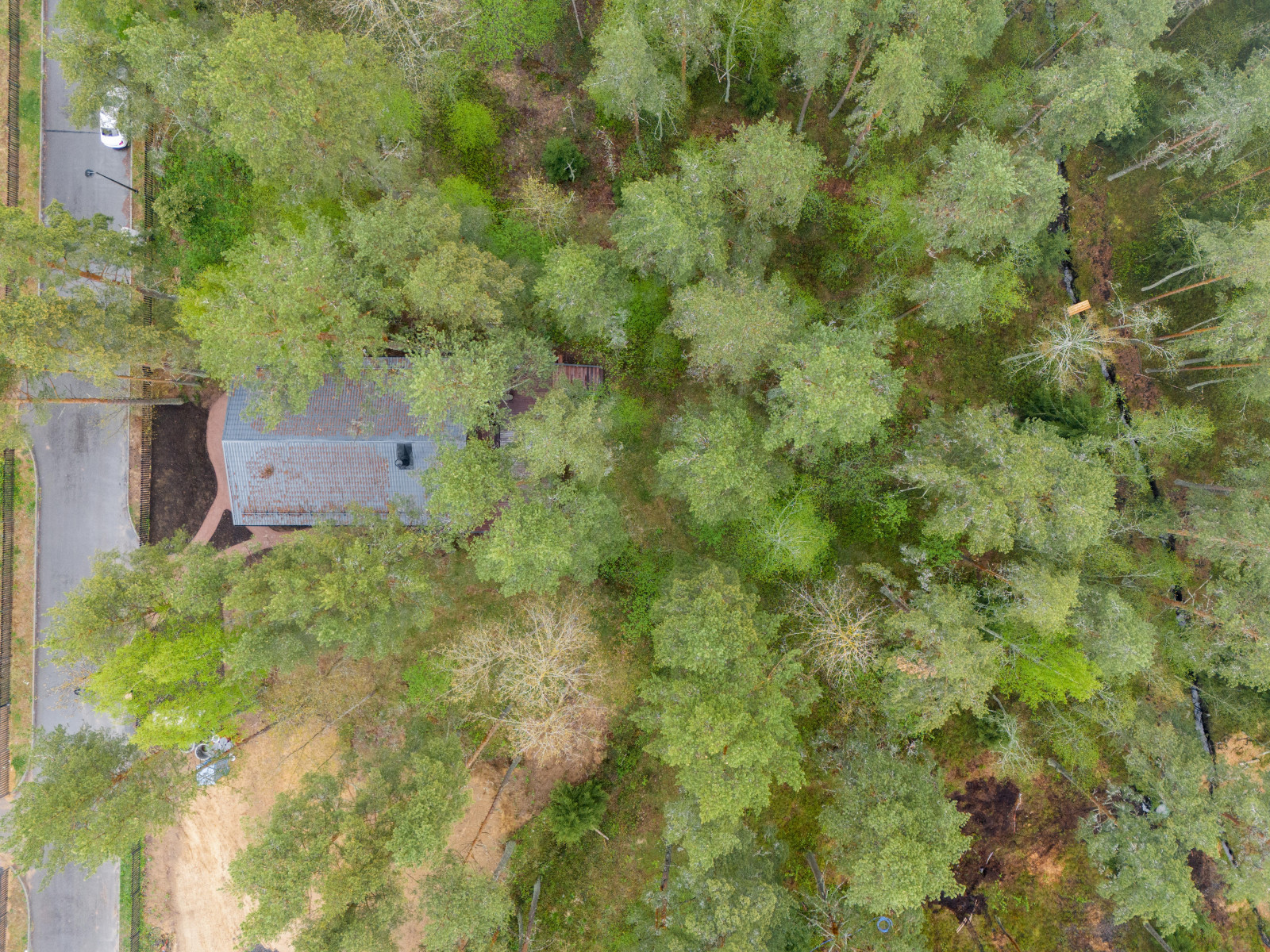 Каркасный дом в сосновом лесу