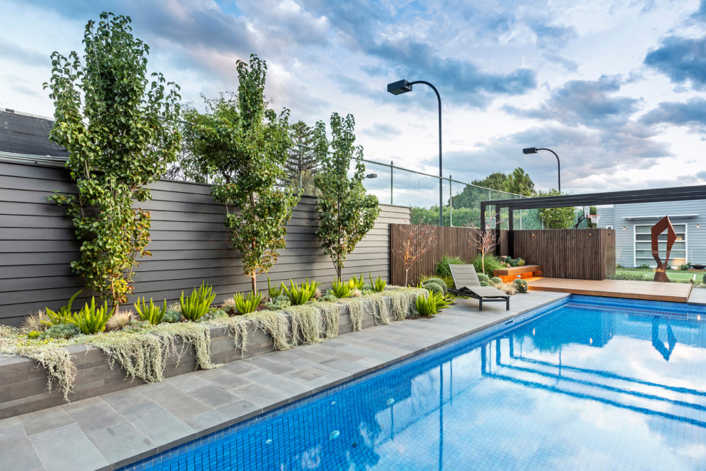 Imagen de piscina actual de tamaño medio rectangular en patio trasero con paisajismo de piscina y adoquines de piedra natural