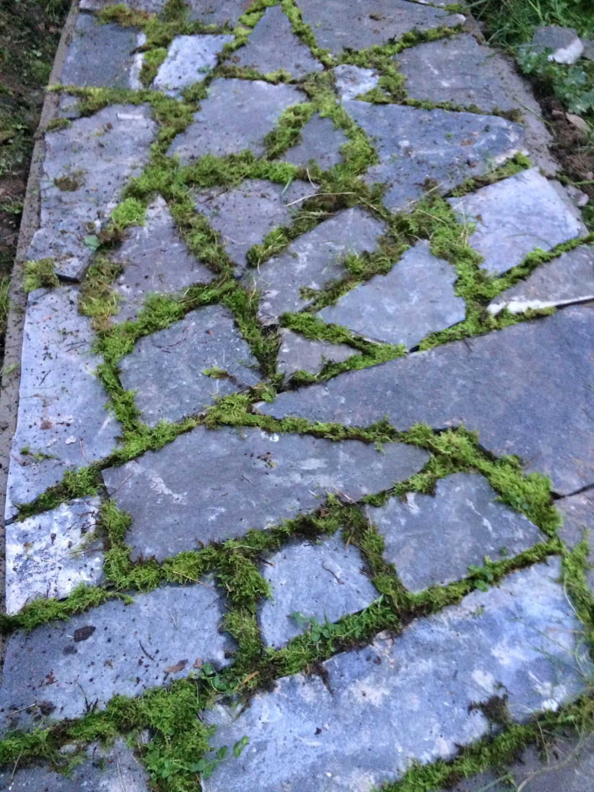 Наши работы