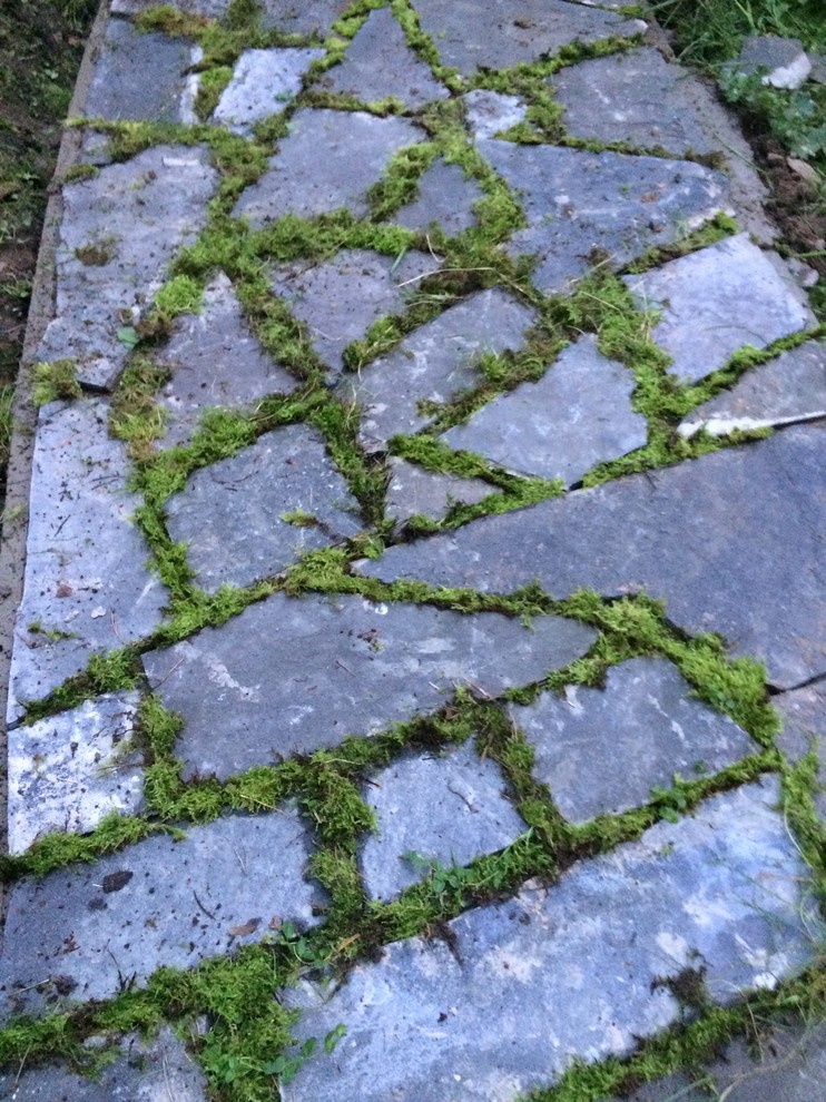 Наши работы