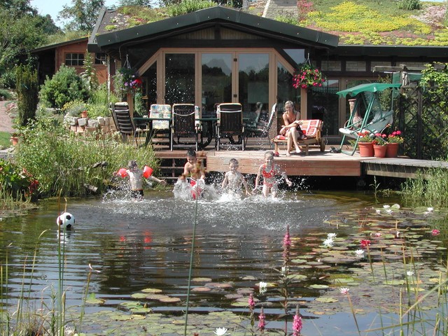 BioNova Natural Swimming Pools - International swimming-pool-and-hot-tub