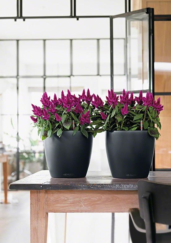 Самый популярный летний стиль