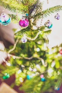 How to Care for Your Christmas Tree (7 photos)