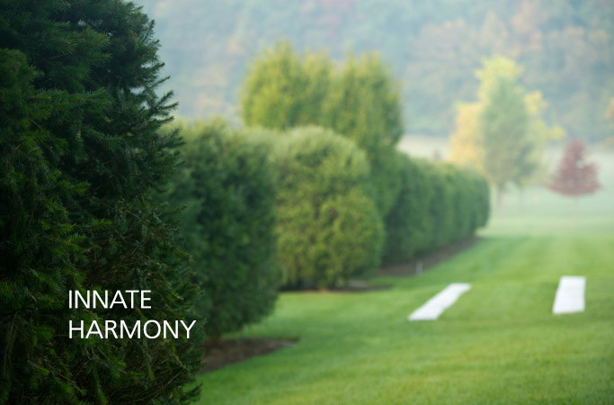 Inspiration for a mid-sized transitional full sun backyard stone formal garden in New York for summer.