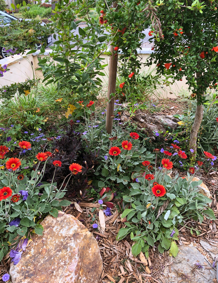 Kleiner Eklektischer Vorgarten im Frühling mit Steindeko, direkter Sonneneinstrahlung, Natursteinplatten und Steinzaun in Los Angeles