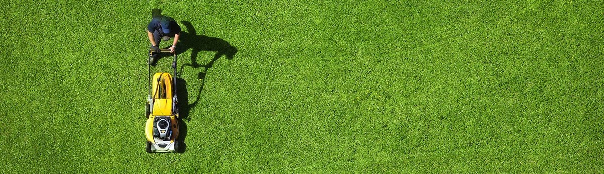 Top Choice Lawn Care Austin Tx Us 78736