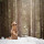 Give a Dog a Bone Photography