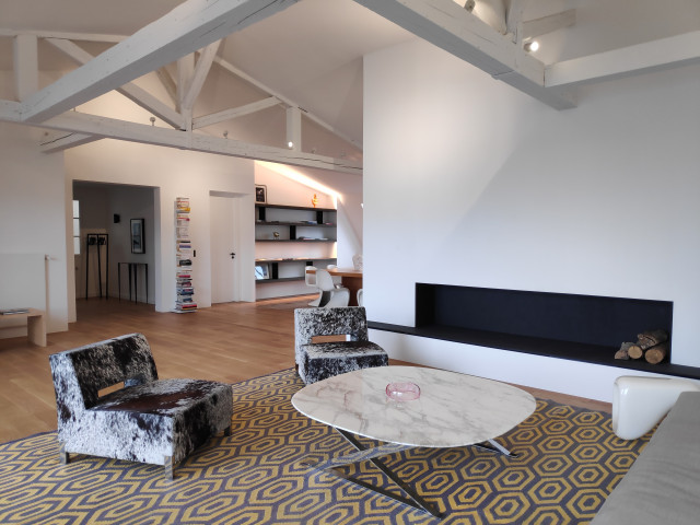 Transformation de combles en loft modern-vardagsrum