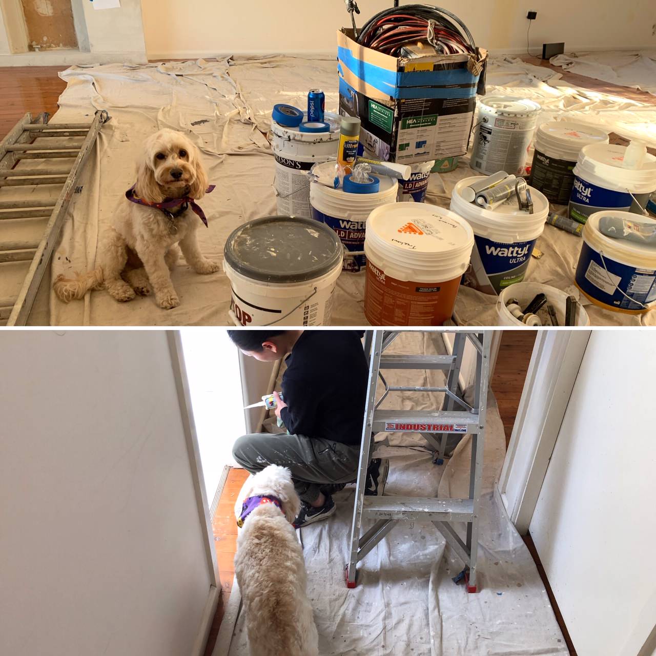 HENRY'S HOME GETS SMARTENED UP
