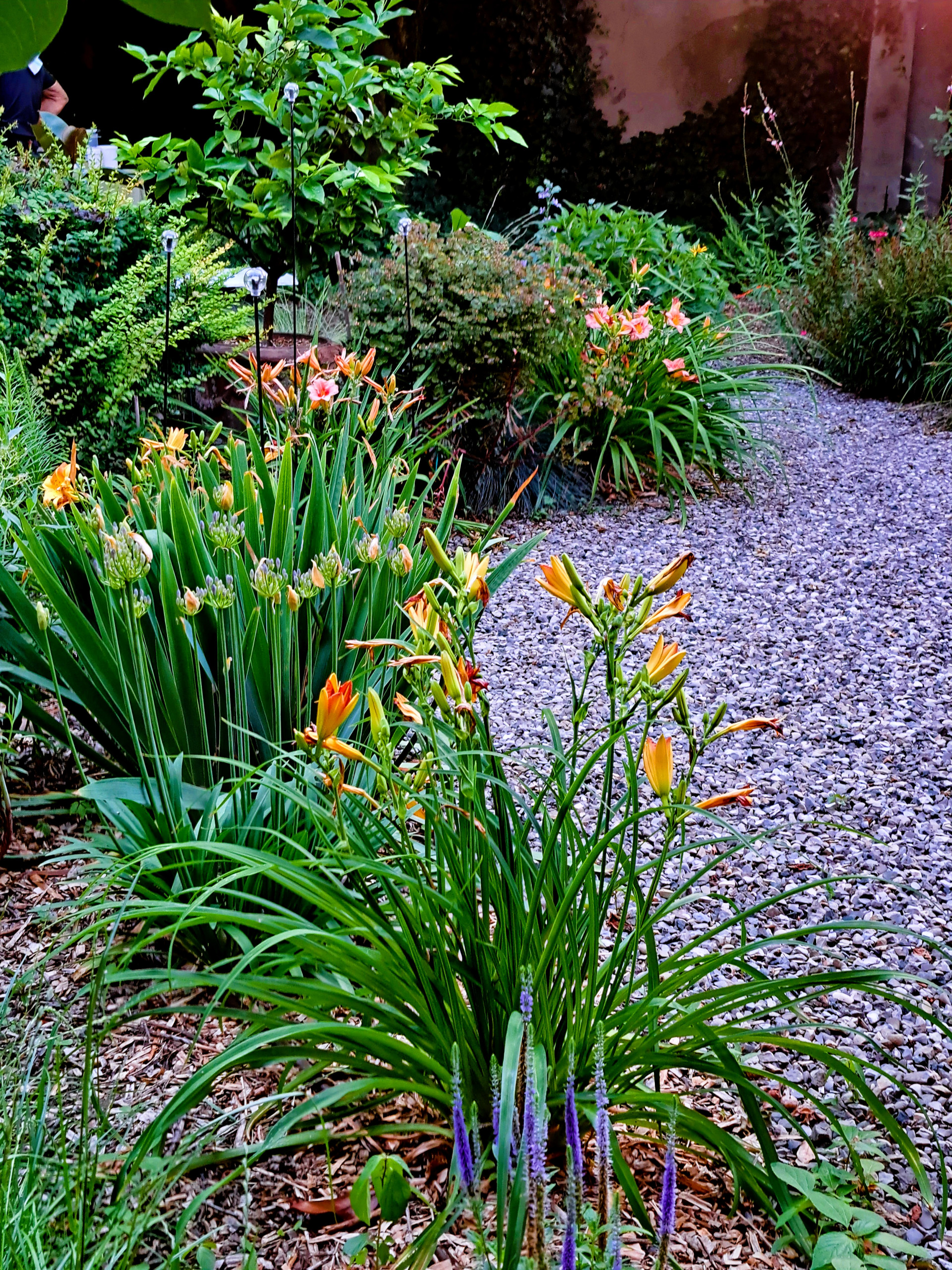 Giardino privato P.S.