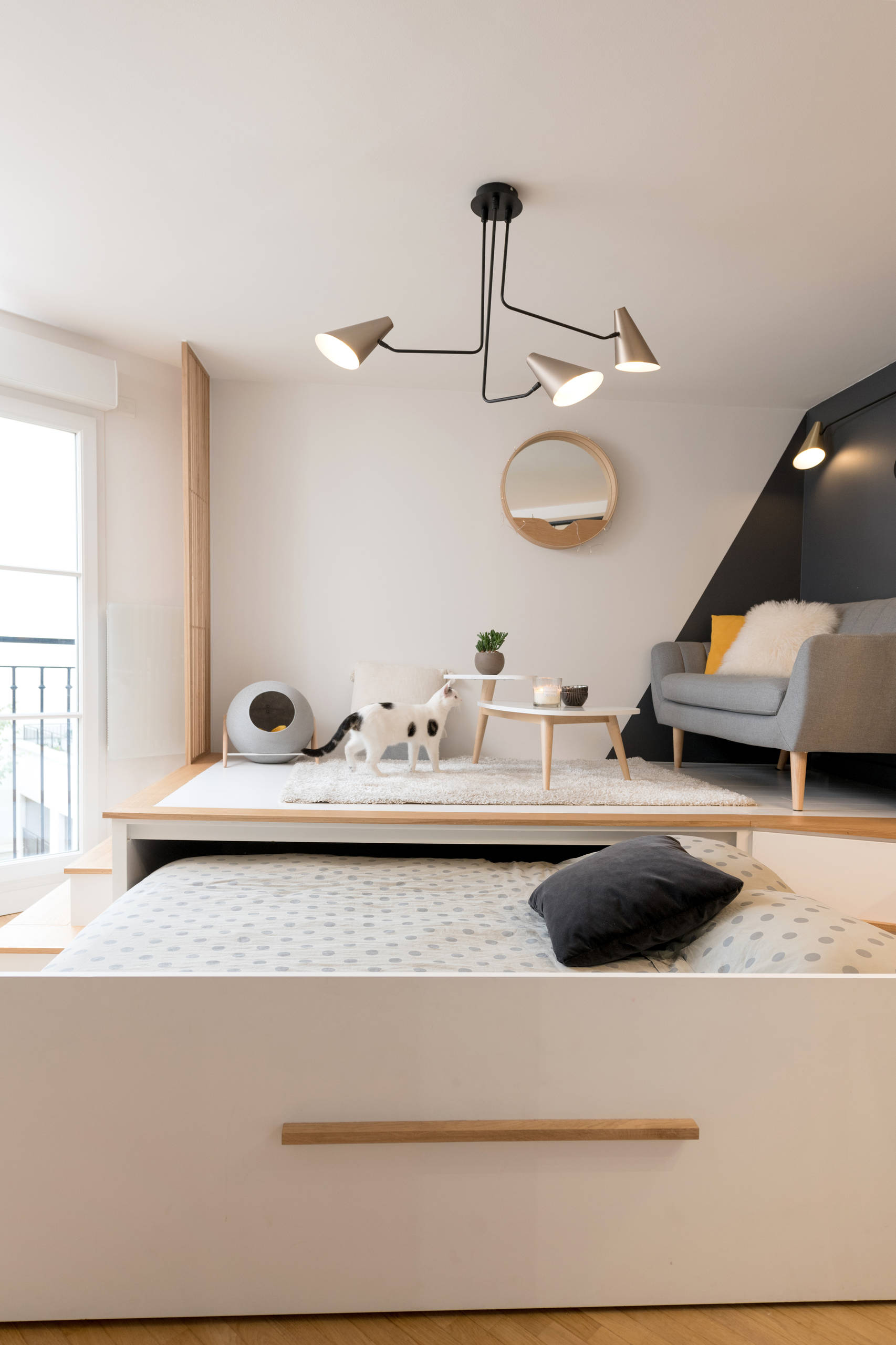 Before & After: Design Tricks in a French Studio Apartment | Houzz AU