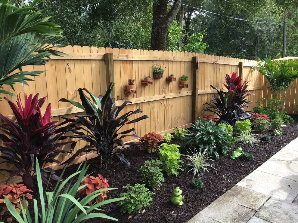Small tropical backyard garden in Miami with a vertical garden.