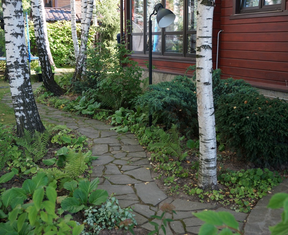 "Березовая роща". Сад в Чеховском районе Московской области, 10 соток.