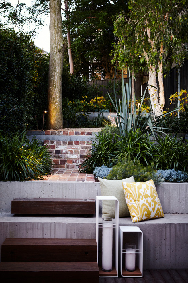Design ideas for an australian native contemporary backyard xeriscape for spring in Sydney with brick pavers.
