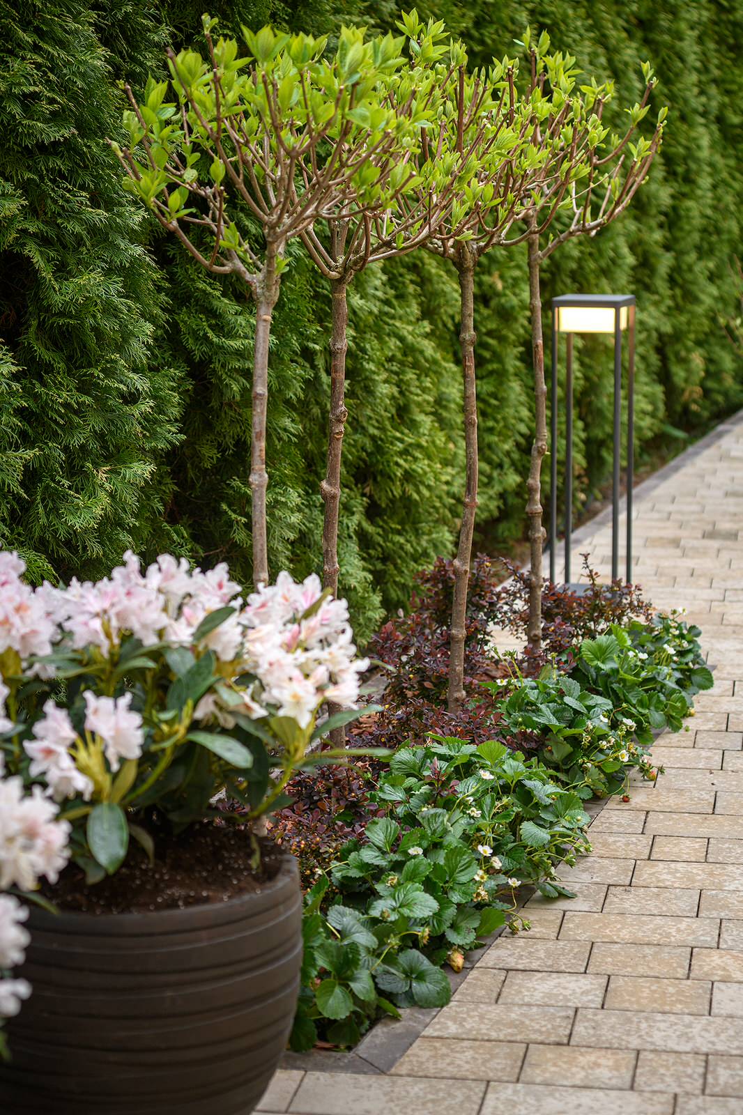 "На Дачу" к Татьяне Веденеевой