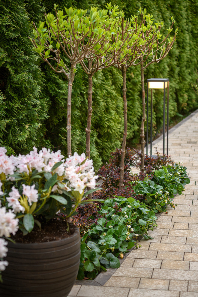 "На Дачу" к Татьяне Веденеевой