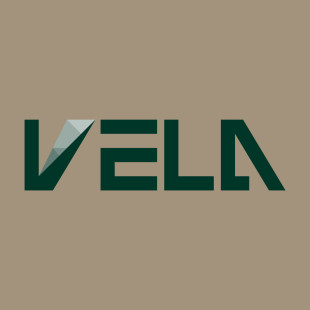 VELA HOMES | A DESIGN BUILD COMPANY - Project Photos & Reviews - North ...