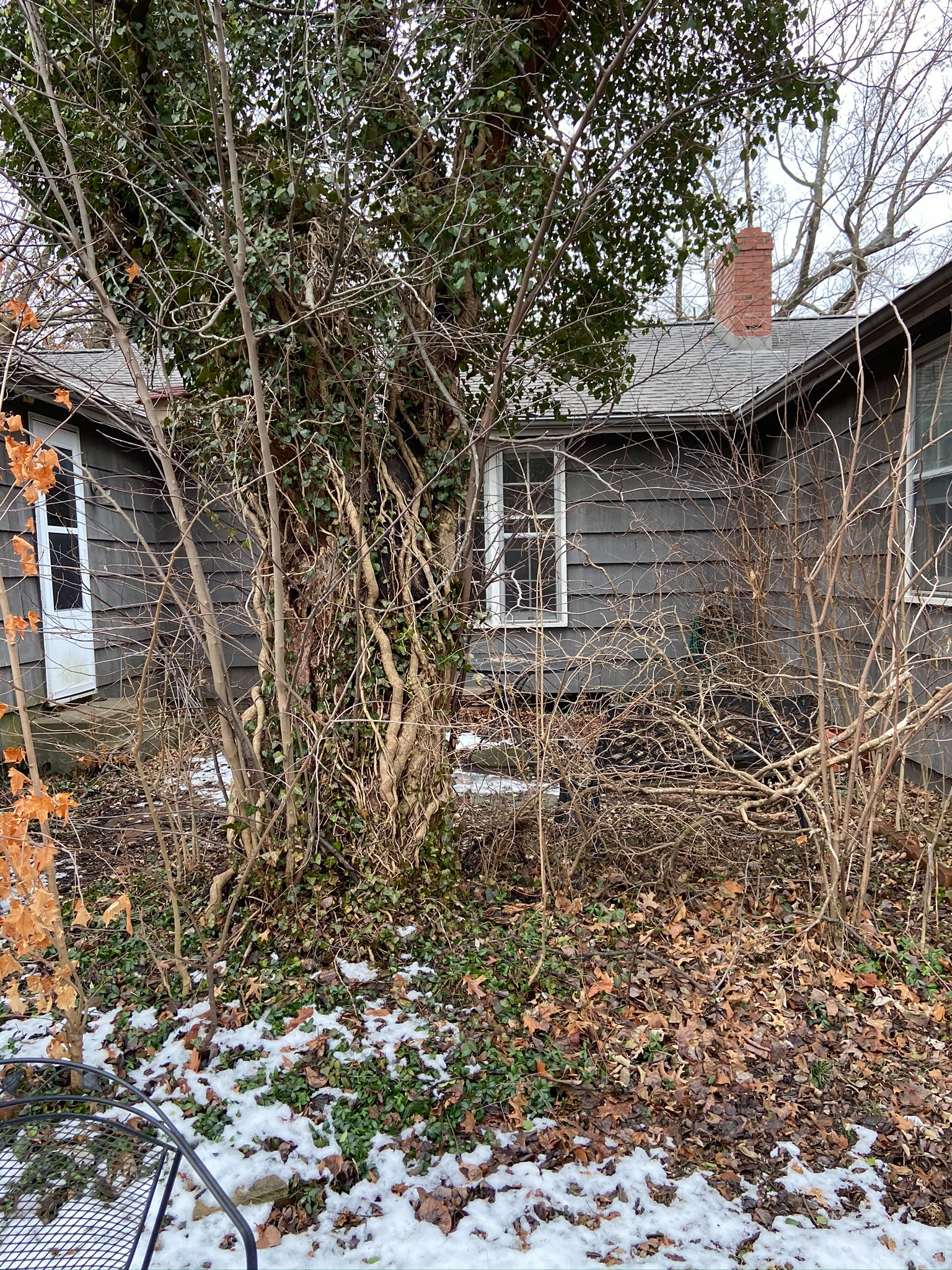 7721 Briar Drive : Prairie Ridge Renovation