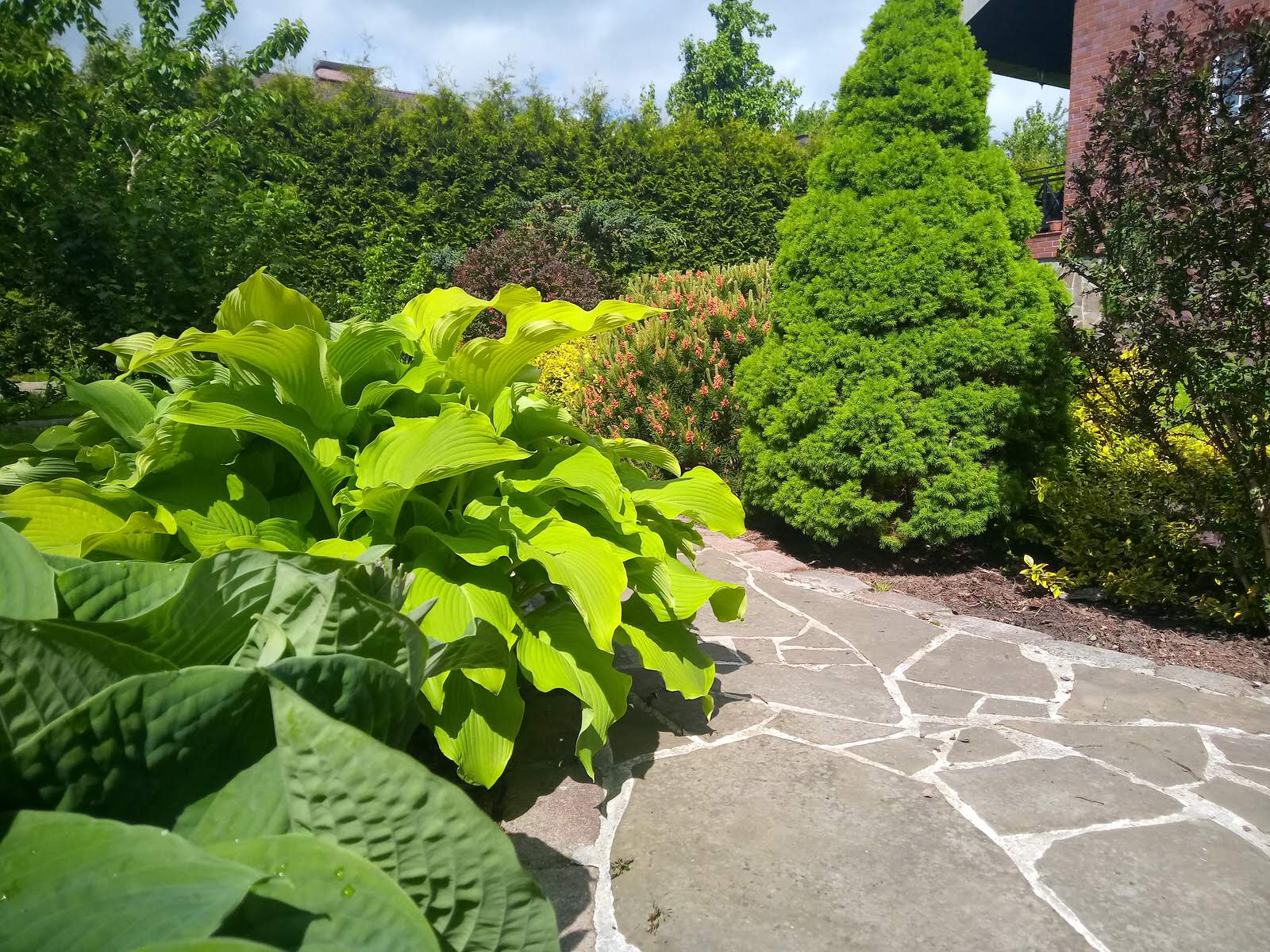 Уход за растениями г. Калининград